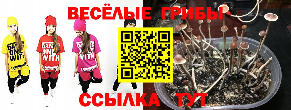 Псилоцибиновые грибы мухоморы Менделеевск
